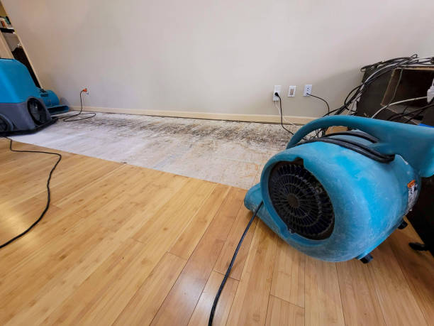 Professional Sewage Cleanup technician working in Gilbert, SC